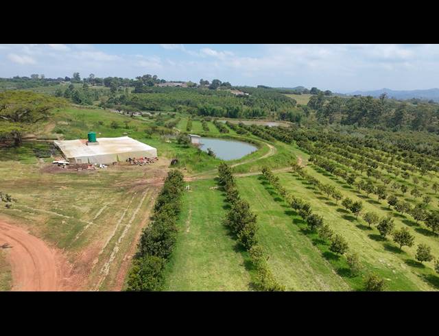 24HA FARM FOR SALE IN WHITE RIVER RURAL
